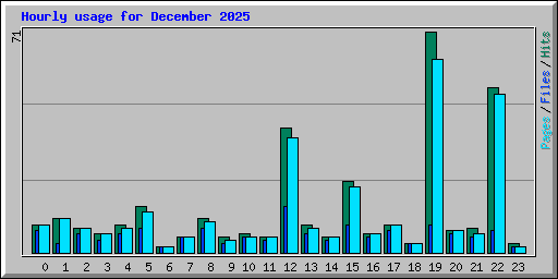 Hourly usage for December 2025