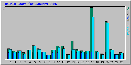 Hourly usage for January 2026