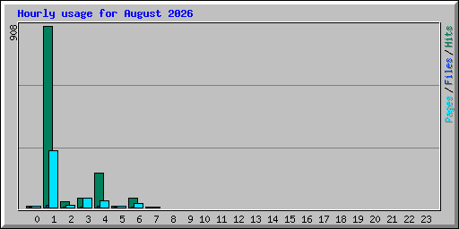 Hourly usage for August 2026